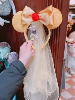 SHDL - Belle With Veil Sequin Ear Headband